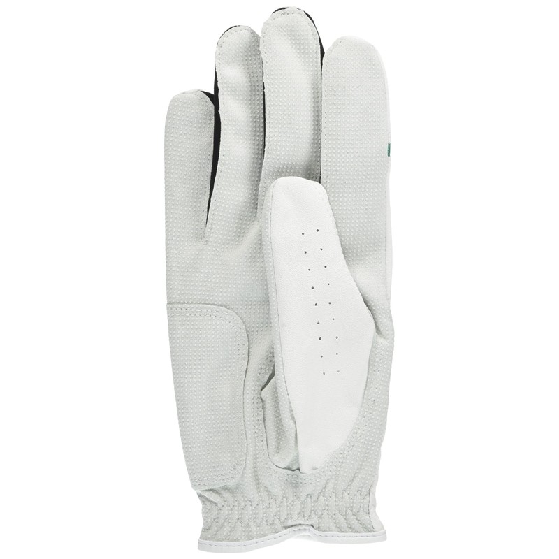 ARNOLD PALMER APG Golf Gloves APG-116 Men's White X Green