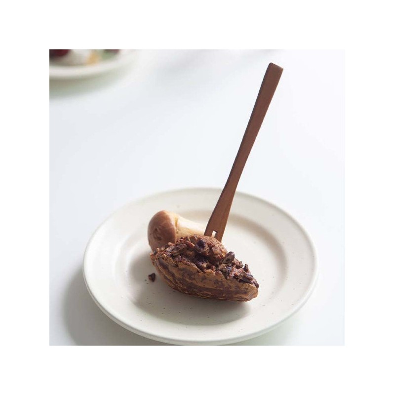 Nicot wood teaspoon tea fork dessert set 10P / 니코트