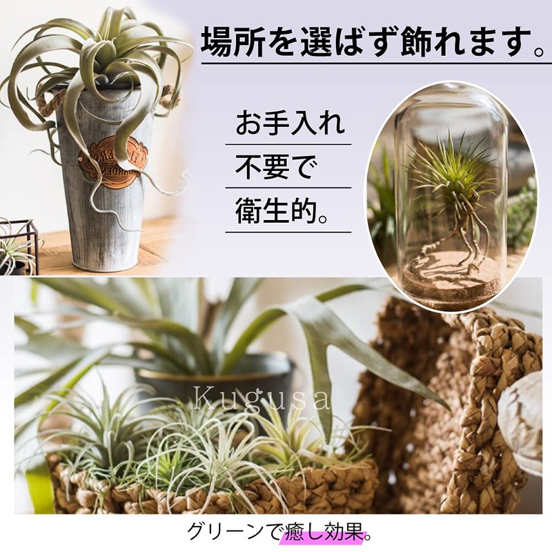 Kugusa Artificial Fake Green Air Plants Wall Hanging Artificial House