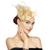 Specell Fascinators for Women Tea Party Hat Handmade Headband Pillbox