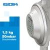GOK Regler Schlauch Set 50 mbar 150 cm