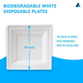 NationwidePaper 10 Inch Biodegradable Square Paper Plates, Bagasse White Disposable Plates, Strong Party Plates (50 Pcs)
