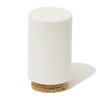 soil diatomaceous earth seasoning case (seasoning container) salt white