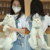 Cat Head Legs Out Carrier Portable Canvas Breathable Lightweight Cat