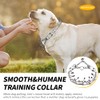 DaFumolous Chrome Plated Prong Dog Collar,no Pull Dog Prong Collar