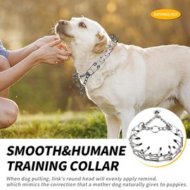 DaFumolous Chrome Plated Prong Dog Collar,no Pull Dog Prong Collar with Spikes,Choke Collar for Dogs Pinch Training Collar (3.0 * 21in)