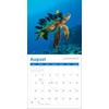 2026 Sea Turtles Mini Wall Calendar 7" x 7"