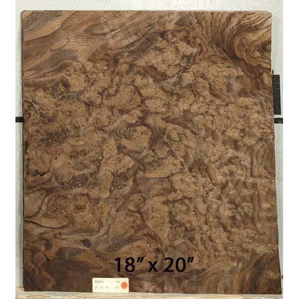 Walnut Burl Wood Veneer 18" x 20" raw no Backing