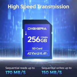 DIGIERA - 256GB LS100 SDXC UHS-I Memory Card, up to 170MB/s, C10, U3, V30, 4K UHD, SD Card for Computers, Digital Cameras, Home Theater Devices, Navigation Systems