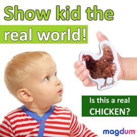 magdum Fridge Magnets For Toddlers 85 SET ZOO+ FARM+ FRUIT+ VEGETABLE Fridge Magnets - Animal Magnets For Toddlers - Fridge Magnets For Kids - Kids Magnets - Magnetic Shapes- Kids Magnets For Fridge