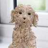 Raised Paw Cockapoo Ornament 17cm Resin Textured Sitting Puppy Dog