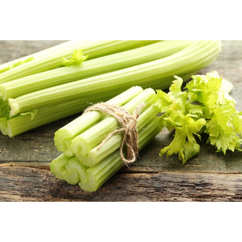 Golden Pascal Celery Seeds (Apium graveolens) – 1,000+ Non-GMO Heirloom