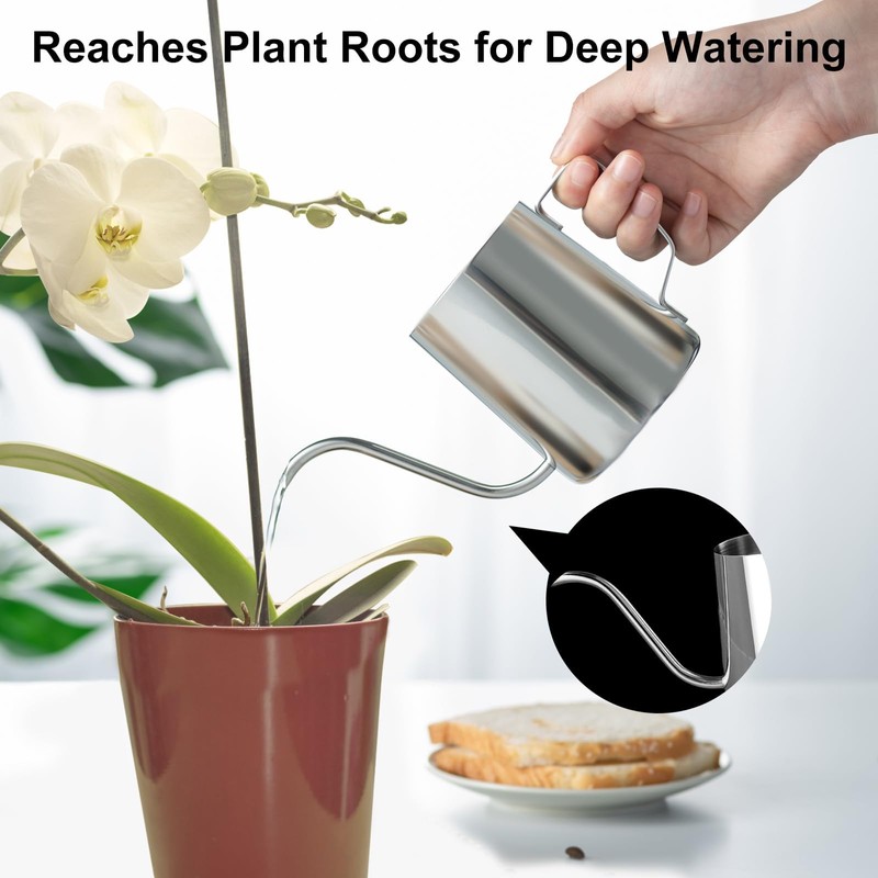 Small Watering Can for Indoor Plants, Mini Indoor Watering Can