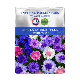 Bachelors Button Cornflower Seeds Pack Mixed Colors - Beautiful Garden Flowers Seeds