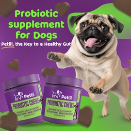 Petlii PROBIOTIC CHEWS - dog probiotics for gut health - digestive enzymes for dogs - Dog flatulence treatment - pumpkin for dogs - 120 Tasty beef treats