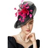 BABEYOND Fascinator Feather Hair Clip Tea Party Pillbox Derby Hat