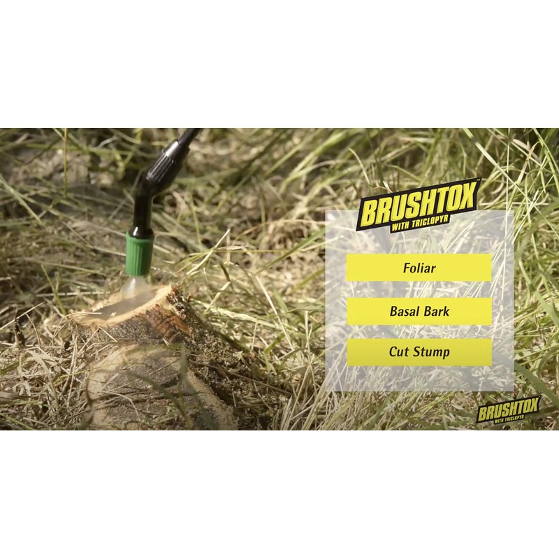 BrushTox 75261 64oz w Brush Killer with Triclopyr, 64 oz,