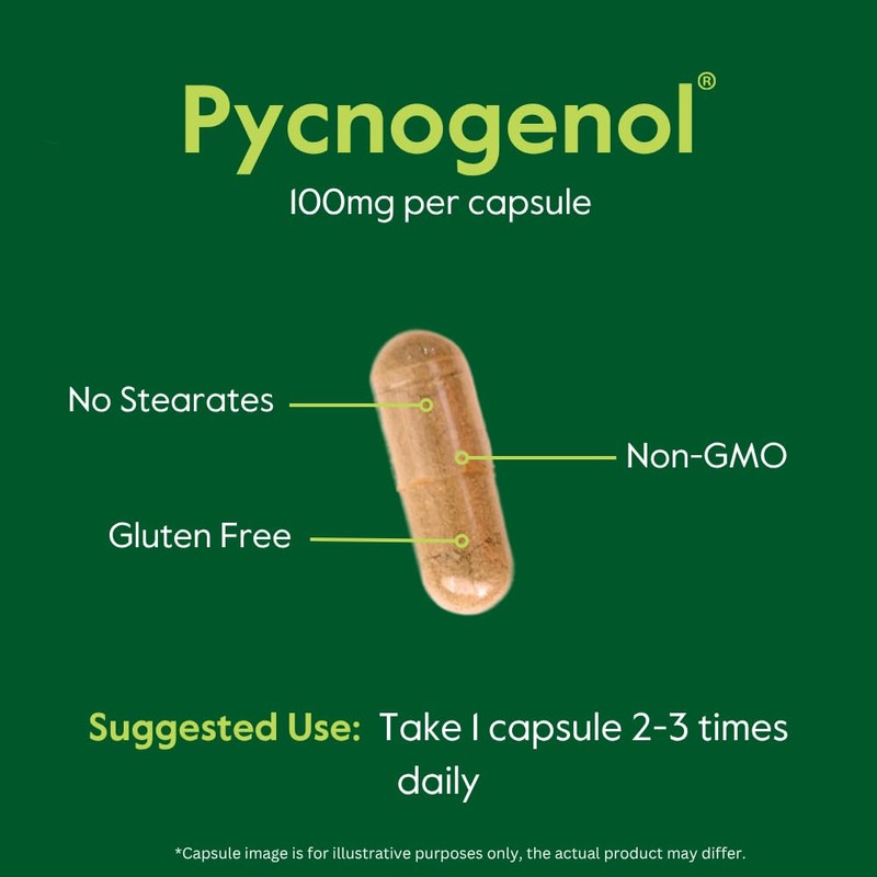 BESTVITE Pycnogenol 100mg (120 Capsules) (60x2) - French Maritime Pine