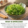 Generic Spirulina Powder, 300g [All-natural and Mineral-rich Detoxifying Supplement]