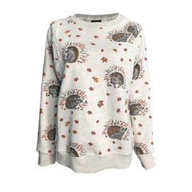 PAPER PLANE LONDON Hedgehog Print Sweatshirt Long Sleeve Pullover Christmas Jumper Hedge hog Cream