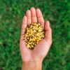 Crunchsters Crunchy Sprouted Mung Beans, Plant-Based Protein Super-Snack and Salad