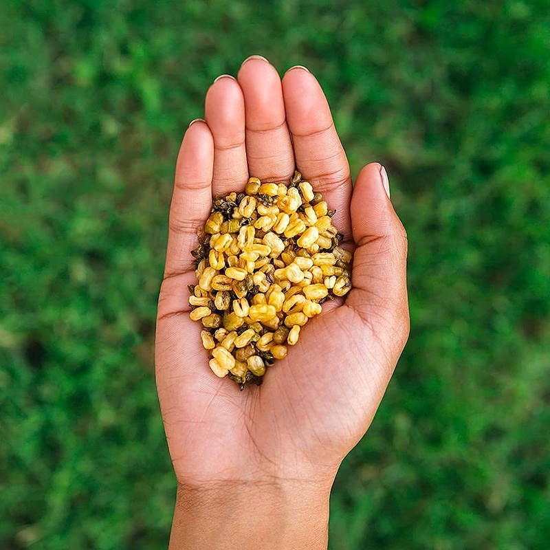 Crunchsters Crunchy Sprouted Mung Beans, Plant-Based Protein Super-Snack and Salad