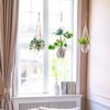 Mkono 3 Pack Macrame Plant Hangers Indoor Different Size Hanging