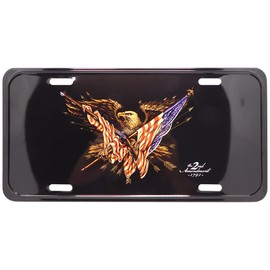 The 2nd Amendment 1791 USA Eagle Tea Stained Black 6"x12" Aluminum License Plate 7556A-52