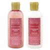 Generic Bath and Body Work CHAMPAGNE TOAST Mini Hair Care