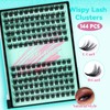 Wispy Lash Clusters Eyelash Extensions 144pcs Individual Lashes Cluster 12mm
