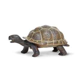 Safari Ltd. Tortoise Baby Figurine - Detailed 5.5" Plastic Model Figure - Fun Educational Play Toy for Boys, Girls & Kids Ages 18M+