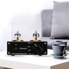 PHONO BOX P4 Gold Plated RCA Panel Drawing Sandblasting MM