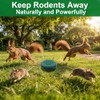 Natural Rodent Repellent Balls - Peppermint Lemon Oil Formula