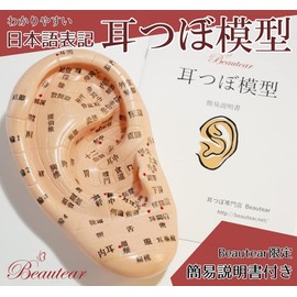 Beautear Ear Model Japanese Version, 6.7 inches (17 cm), Ear Urn Jewelry, Japanese Notation, Ear Trap, Acupuncture Point, Location Check, Japanese Simple Instruction Manual Included (English Language Not Guaranteed)