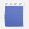 PANTONE 17-3931 TSX Polyester Standards Swatch Card, Sea Urchin