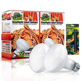 REP BUDDY 2 Pack Reptile Heating Bulb 50W with Sticked Digital Thermometer for Reptiles Amphibians,Turtles,Chamelon,Lizard,Python,Ceratophrys, White