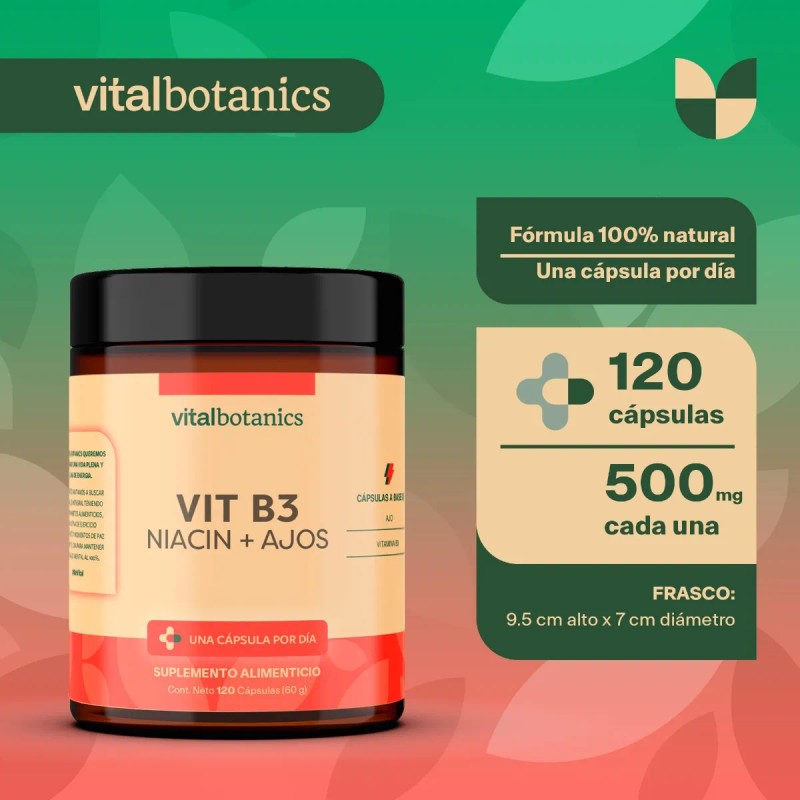 Vitalbotanics Niacina Vitamina B3 Con 120 Capsulas De 500mg Sabor