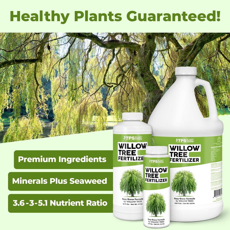 Willow Fertilizer for Willow Trees, Great for Weeping Willow, Corkscrew