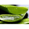 TABAIBA, Aloe Vera Cream Body Milk Aloe Vera ml Tabaibaloe,