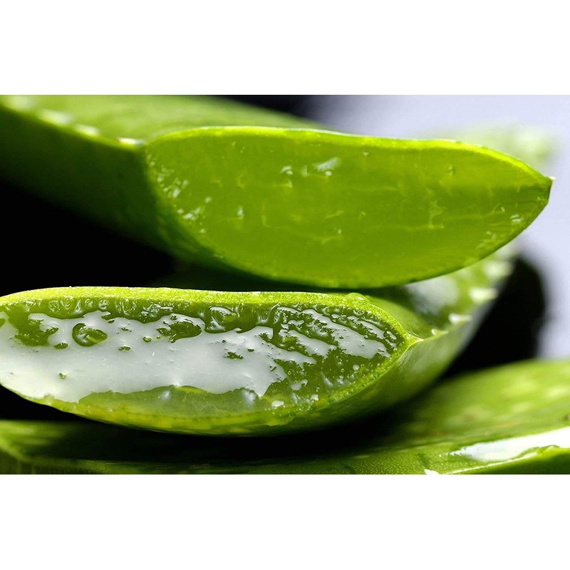 TABAIBA, Aloe Vera Cream Body Milk Aloe Vera ml Tabaibaloe,
