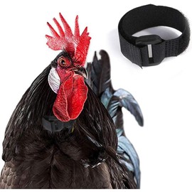 2Pcs Anti Crow Rooster Collar, Black, Adjustable Neck Belt for Roosters Chickens Ducks Geese