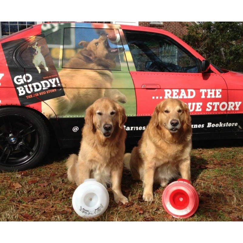 Buddy Bowl No Spill Water Bowl