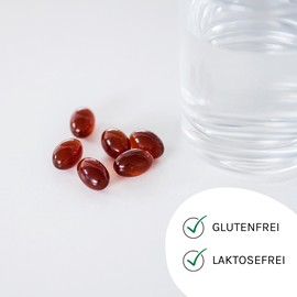 Astrid Twardy Lecithin Kapseln, mit hochwertigen Phospholipiden aus Soja, Weichkapseln, ohne Gentechnik– 60 Kapseln