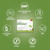 Dr. Böhm Intestinal Active: To Support Constipation and Hard Stools,
