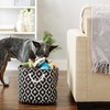 Bone Dry 6192 Pet Storage Collection Lattice Paw Print, Medium