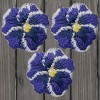 Paddys Patches Mini Pansy Embroidered Patch — 3-Pack — Iron On