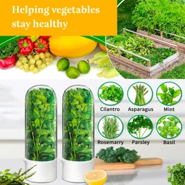 ProFreshion Herb Keeper - 3-in-1 Refrigerator Storage Container with Humidity Control, Extends Freshness 3+ Weeks for Cilantro/Basil/Asparagus, BPA-Free Fridge Organizer (2)