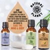 Natural Planet Brazilian Orange Essential Oil 15ML Natural 100% Pure