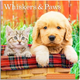Whiskers & Paws: A 2025 Inspirational DaySpring Mini Wall Calendar