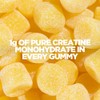 Myprotein Creatine Gummies - 3g per Serving - Electrolyte Enhanced